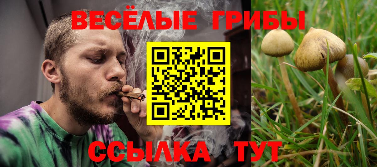 Галлюциногенные грибы MAGIC MUSHROOMS  Вход с VPN  Киреевск  Галлюциногенные грибы GOLDEN TEACHER 
